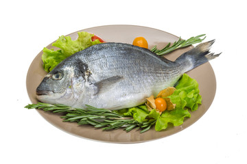 Raw dorado
