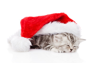 sleeping scottish kitten with santa hat. isolated on white 