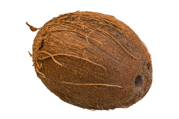 Coconut