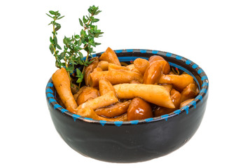 Armillaria
