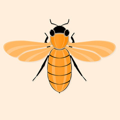 Background with stylized bee. - 61306616