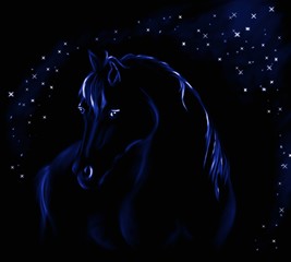 Horse in night
