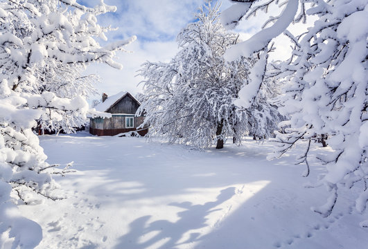 Winter fairytale, heavy snowfall covered the trees and houses in