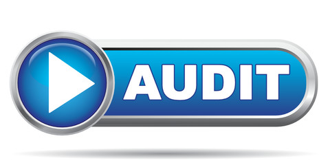 AUDIT ICON