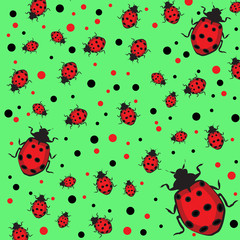 ladybugs vector