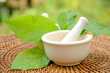 Porcelain herbal medicine grinder.