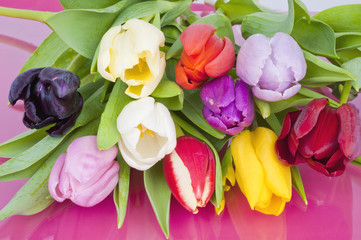 Bouquet of assorted Dutch Tulips - 61308878