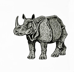 disegno di rinoceronte indiano