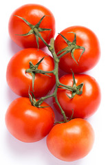 Fresh tomatoes