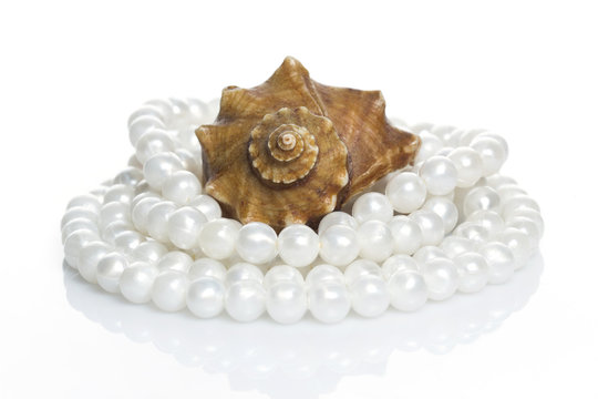 Seashell and pearl necklace