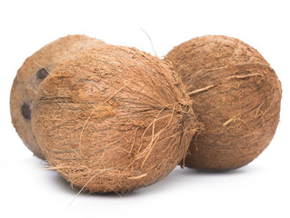 Coconuts on white background