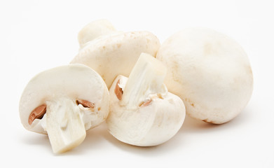 Champignon mushroom white agaricus