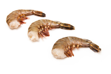 Tiger prawn or Asian tiger shrimp. Isolated on a white studio ba