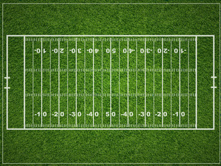 A vector grass textured American football field. © olgachirkova