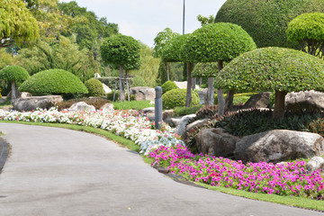 tree in park