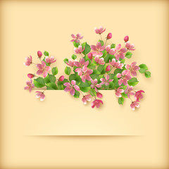 Floral greeting card pink cherry blossom flowers