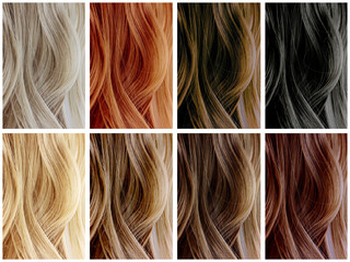 Hair Color Samples