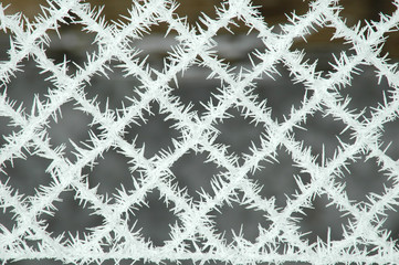 Frosted fence net closeup