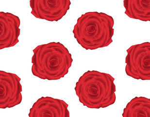 Fototapeta premium wallpaper pattern with of red roses on white background