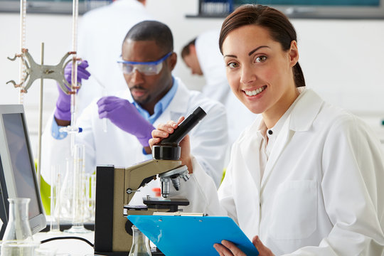 Technicians Carrying Out Research In Laboratory
