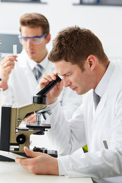 Technicians Carrying Out Research In Laboratory