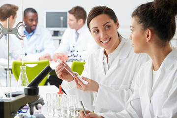 Group Of Technicians Working In Laboratory