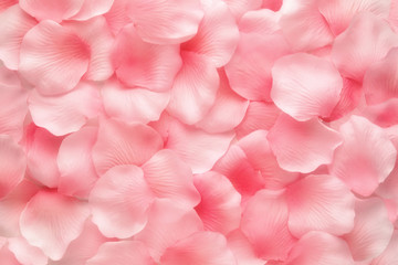 Beautiful delicate pink rose petals - Powered by Adobe