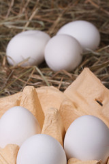 Fresh white chicken eggs in a tray and a hay closeup. vertical