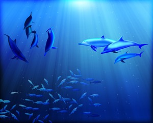 Fototapeta premium dolphins underwater