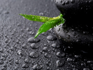 zen stones and bamboo with dew