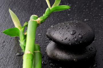 zen stones and bamboo with dew