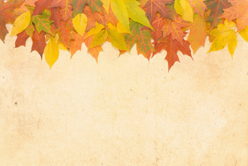 Naklejka na ściany i meble Textured Autumn leaf background with room for copy space.