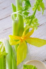 Obraz na płótnie Canvas celery dippen
