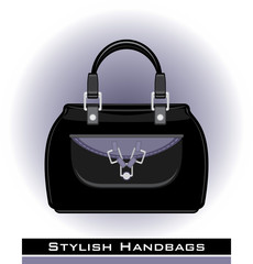 Female stylish handbags. Icon for design