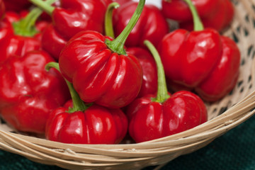 Red pepper
