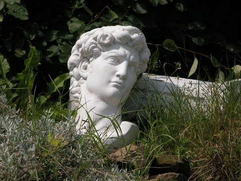 David