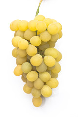 White grape cluster