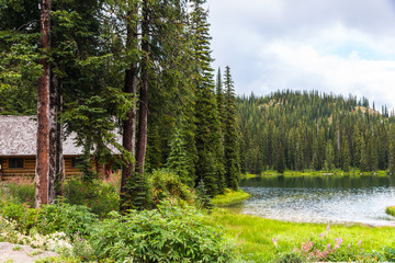 Log Cabin in Pine Forest by Lake