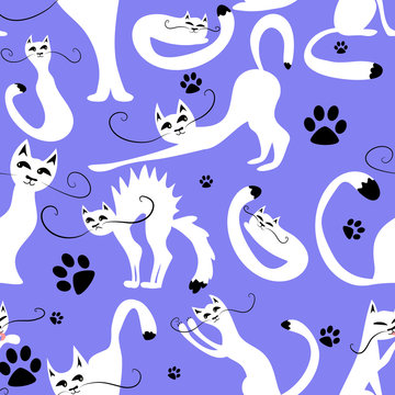 Seamless pattern with cute white cats © paw