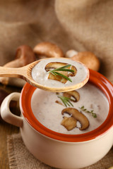 Mushroom soup in wooden spoon and pot,