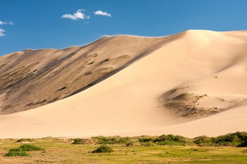 Sand dunes Khongoryn Els in Gobi Desert