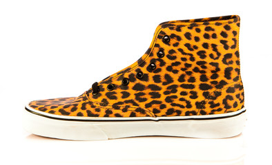 modern  sport shoes on white background