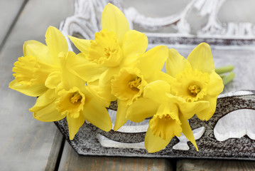 Bunch of daffodils on shabby chic wooden tray