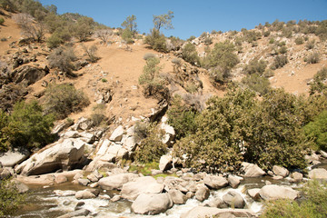 Kern Valley California