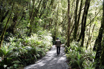 Obraz premium Man hiking