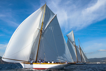 Fototapeta premium régates