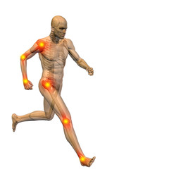 3D human man anatomy with articular pain