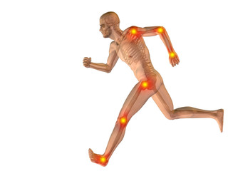 3D human man anatomy with articular pain