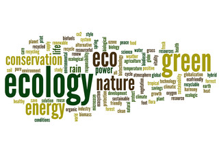 Conceptual ecology word cloud