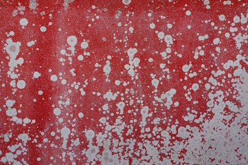 Hintergrund Wand in rot mit Flechten